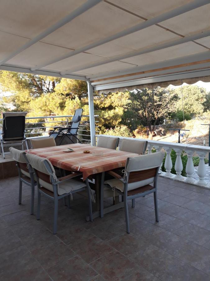 Jadrtovac Apartment Tuja מראה חיצוני תמונה