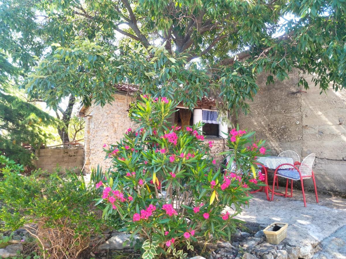 Jadrtovac Apartment Tuja מראה חיצוני תמונה
