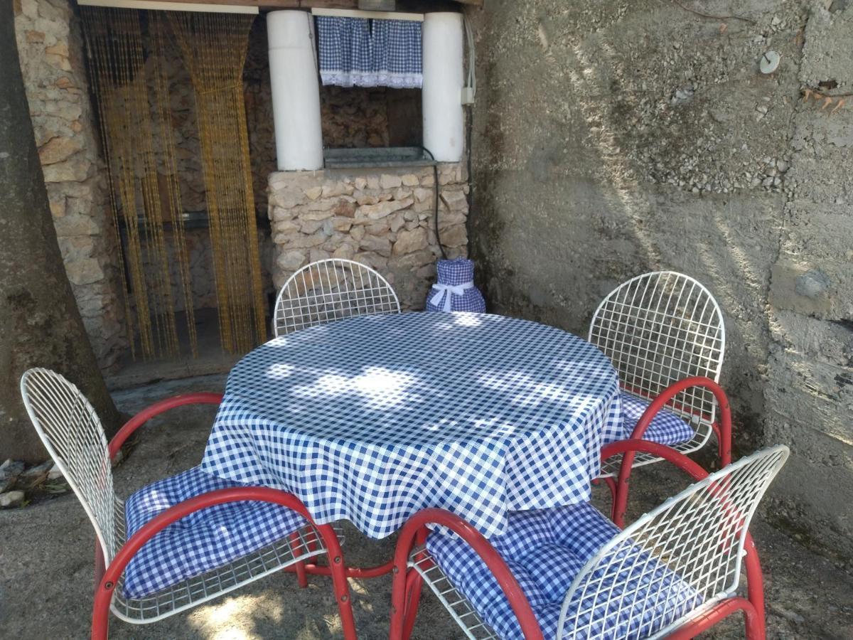 Jadrtovac Apartment Tuja מראה חיצוני תמונה