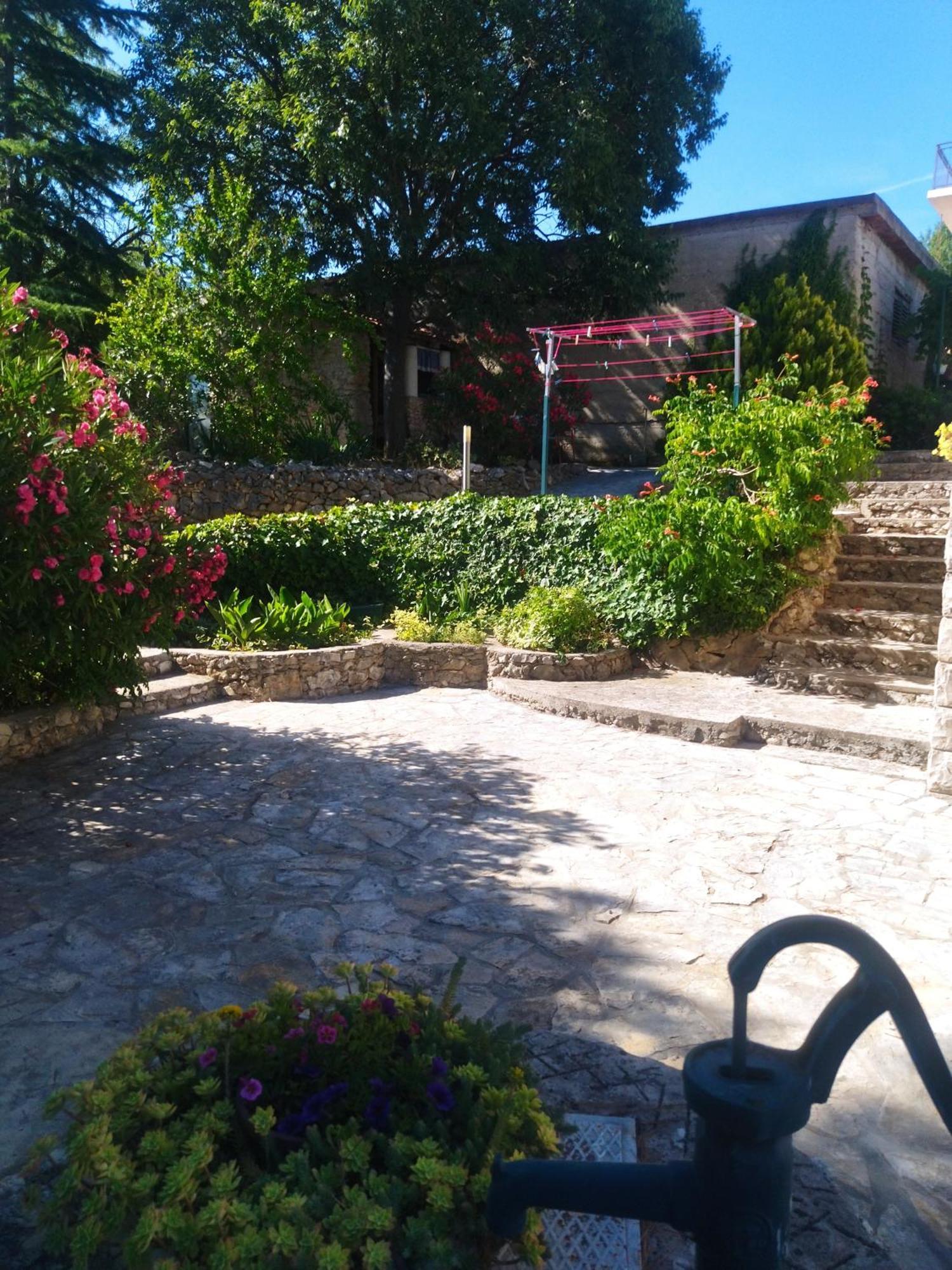 Jadrtovac Apartment Tuja מראה חיצוני תמונה