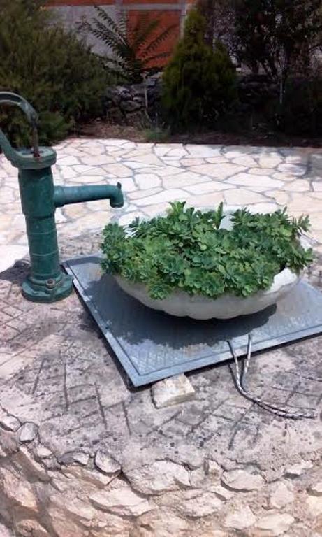 Jadrtovac Apartment Tuja חדר תמונה